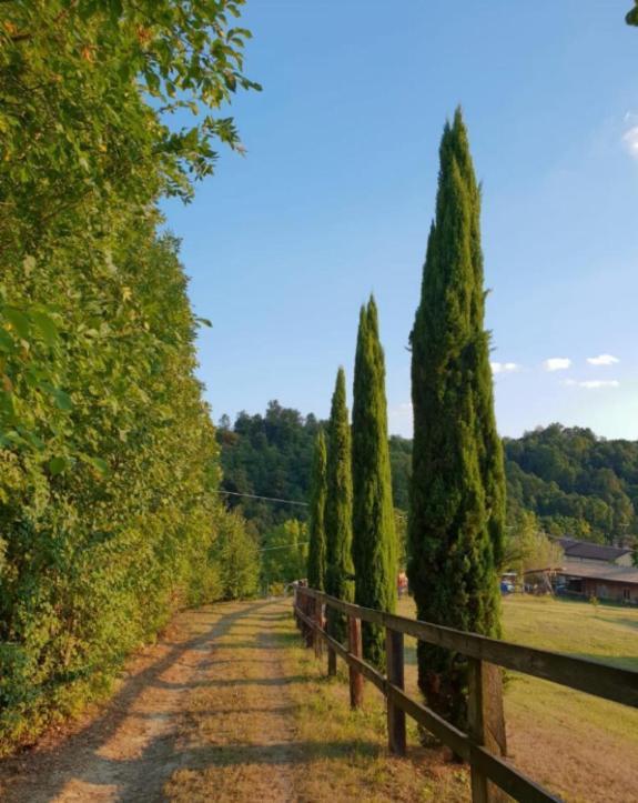 Cascina Domina * Gassino Torinese